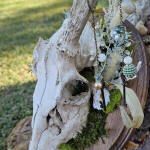 Mounted Deer Skull